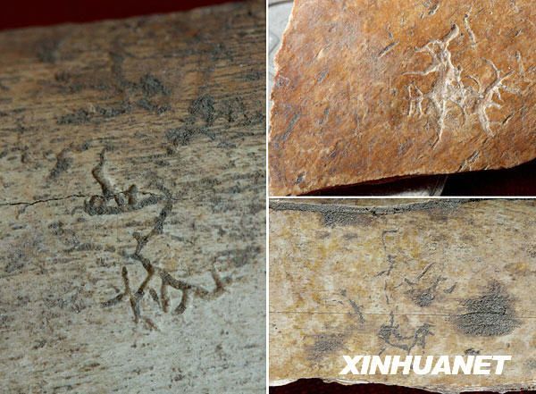中国考古专家最新考证表明,4年前在中国东部山东省昌乐县集中出土的100多块兽甲骨上所刻的600多个符号,结构和布局有一定的规律可循,应为距今约4500年的中国早期文字。